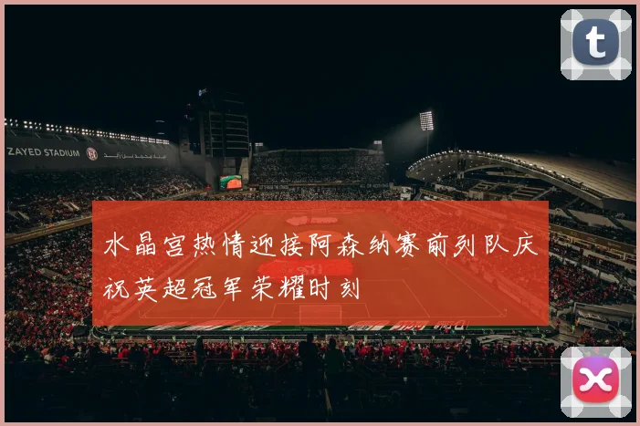 水晶宫热情迎接阿森纳赛前列队庆祝英超冠军荣耀时刻
