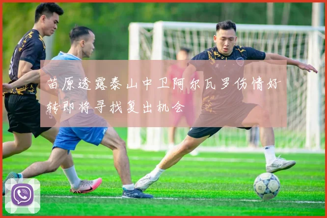 苗原透露泰山中卫阿尔瓦罗伤情好转即将寻找复出机会