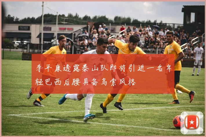 李平康透露泰山队即将引进一名年轻巴西后腰具备乌索风格