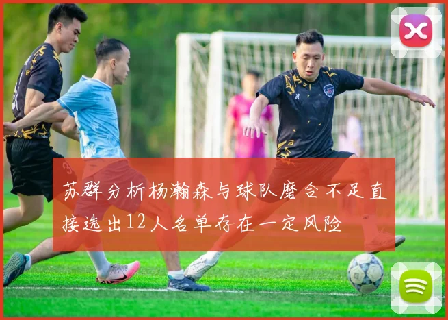 苏群分析杨瀚森与球队磨合不足直接选出12人名单存在一定风险